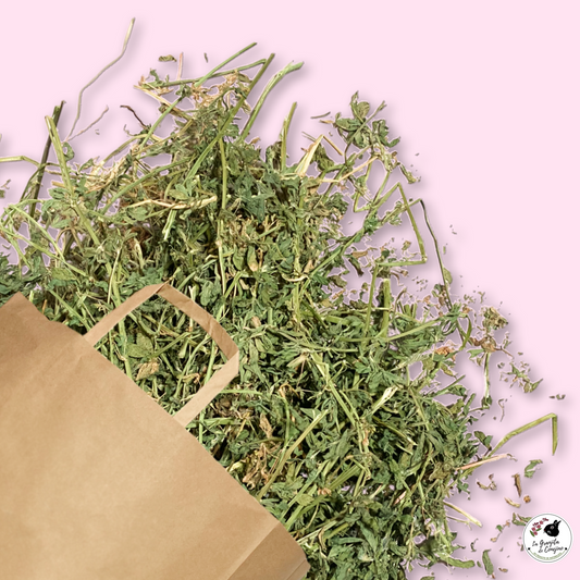 Alfalfa Premium 1 K