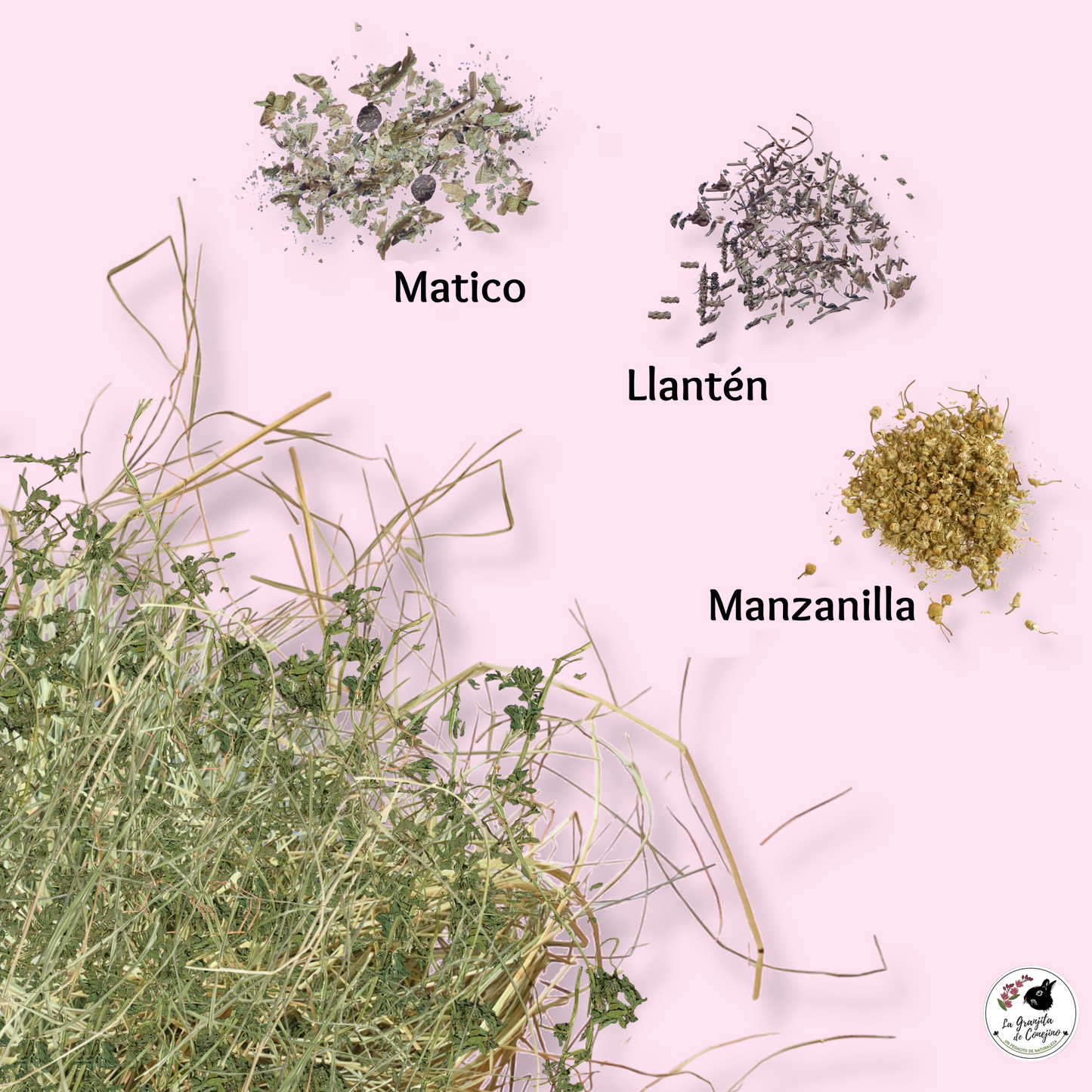 Alfalfa Ballica Extra Digestiva