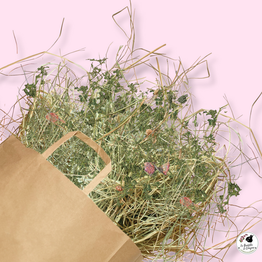 Alfalfa Ballica Trébol 1K