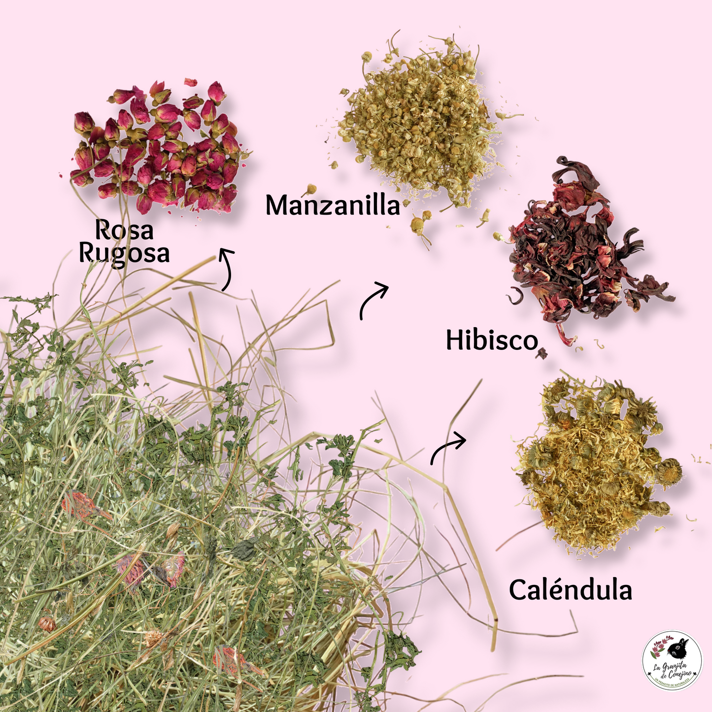 Alfalfa Ballica Trébol Mix Flores 1K