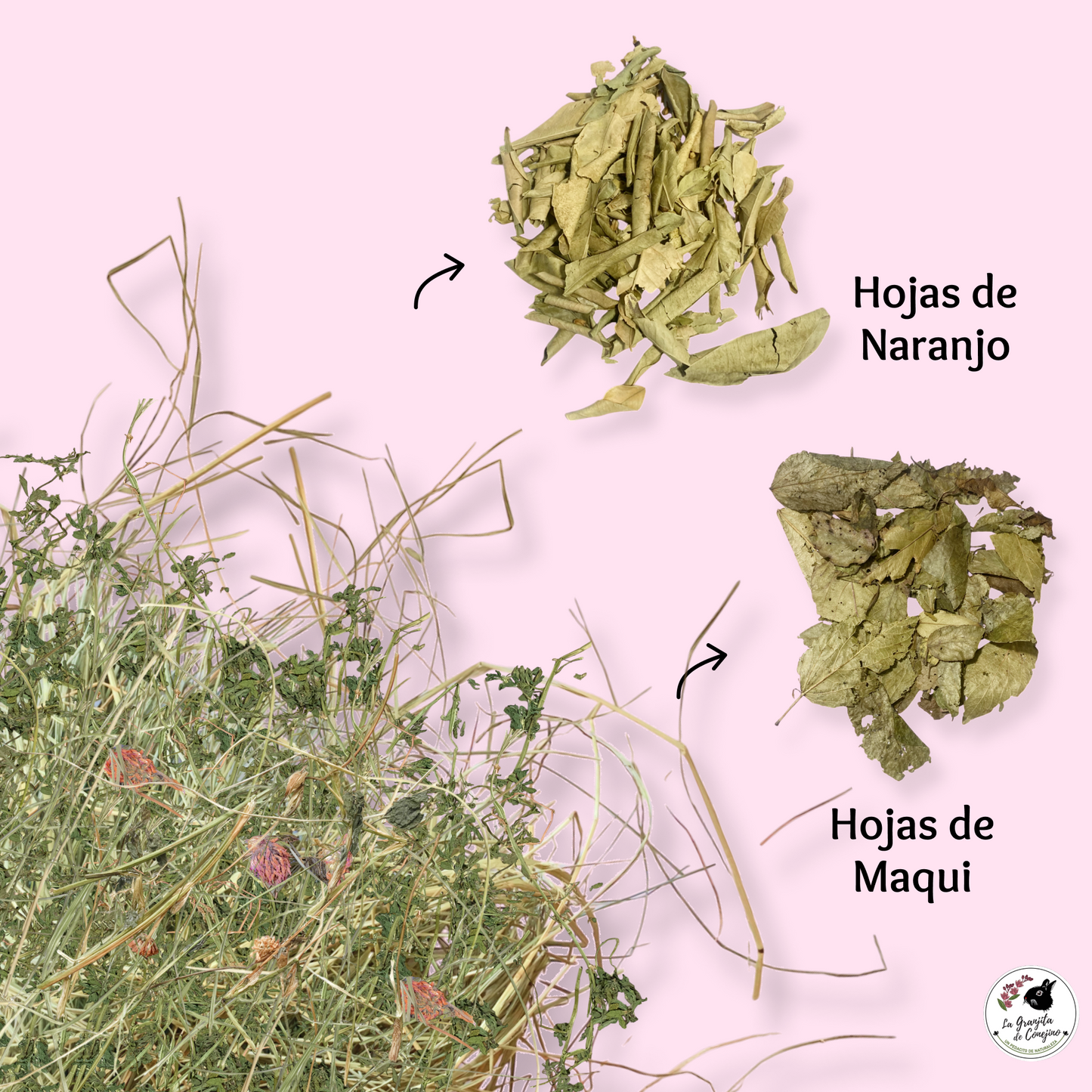 Alfalfa Ballica Trébol Mix Hojas 1K