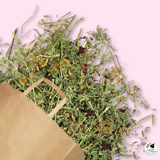 Alfalfa Mix Flores 1K