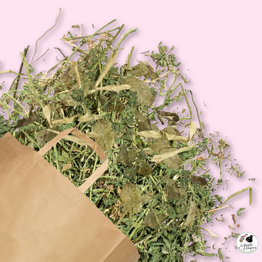 Alfalfa Mix Hojas 1K