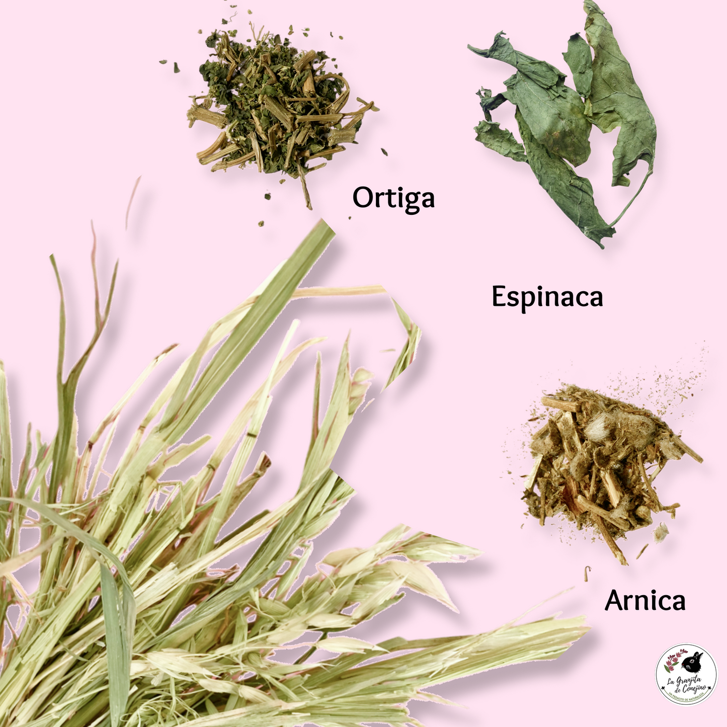 Avena Active Antiinflamatorio 400gr