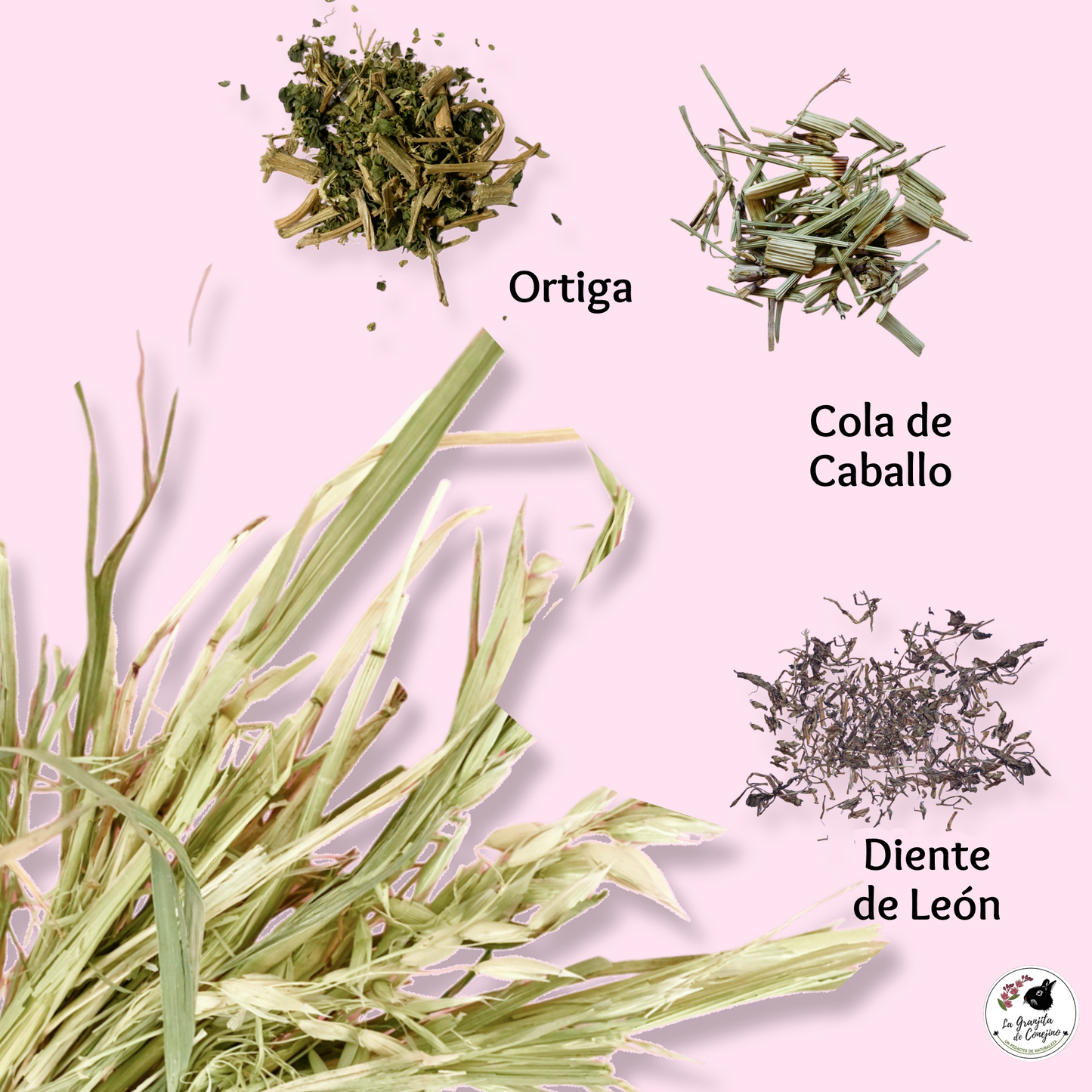 Avena Active Diuretica 400gr