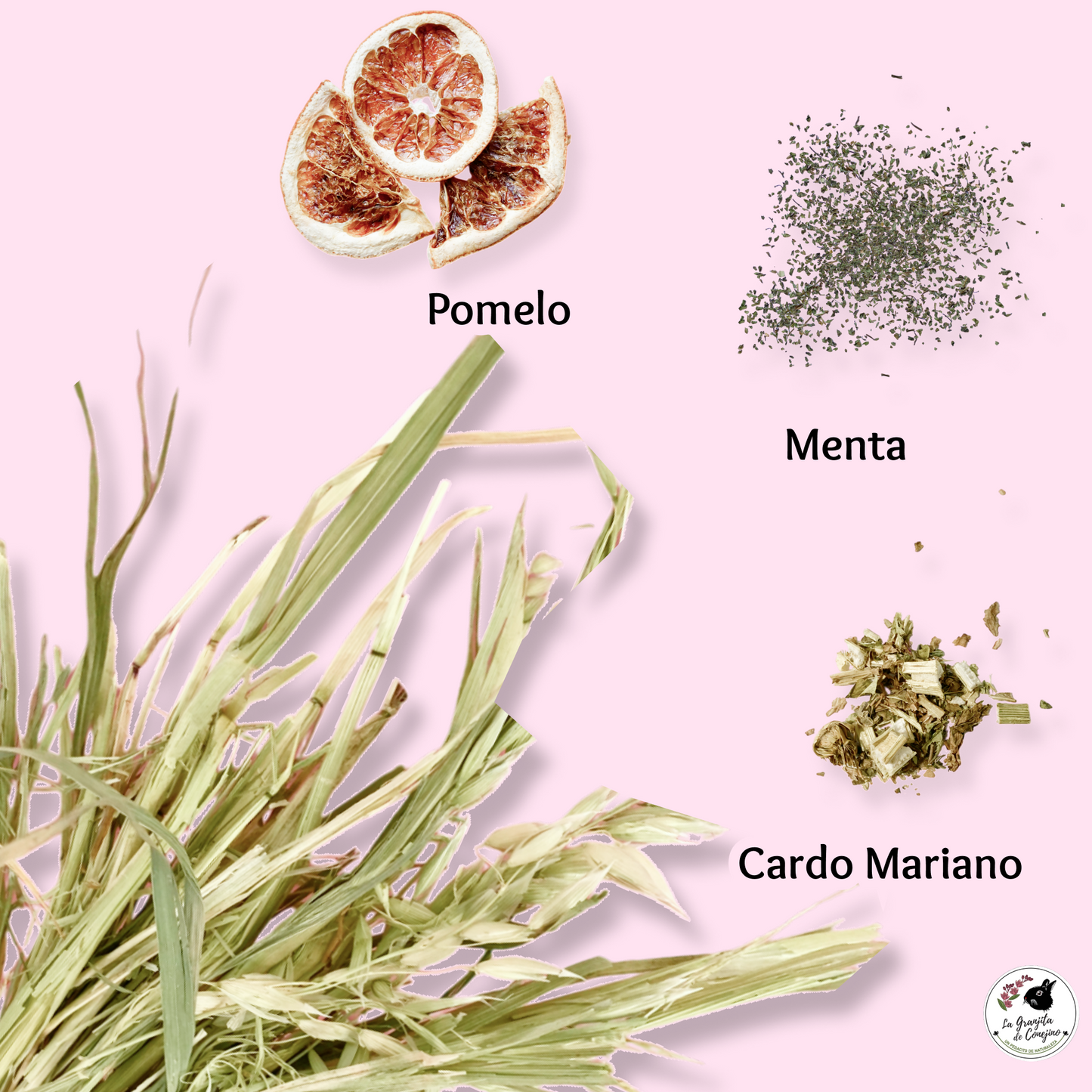 Avena Active Hepático 400gr