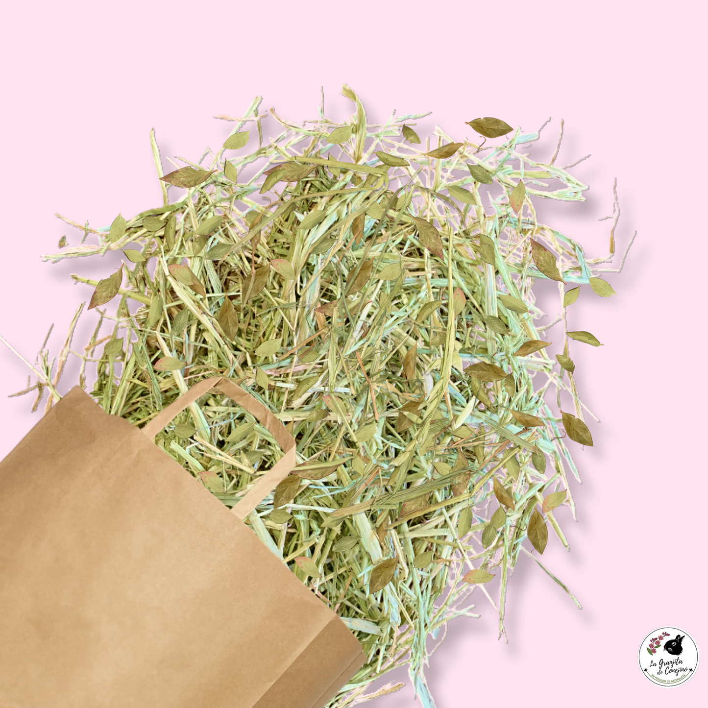 Avena Hojas de Arándano 600gr