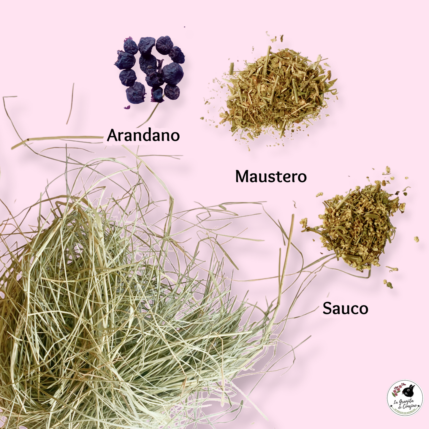 Ballica Active Antioxidante 400gr