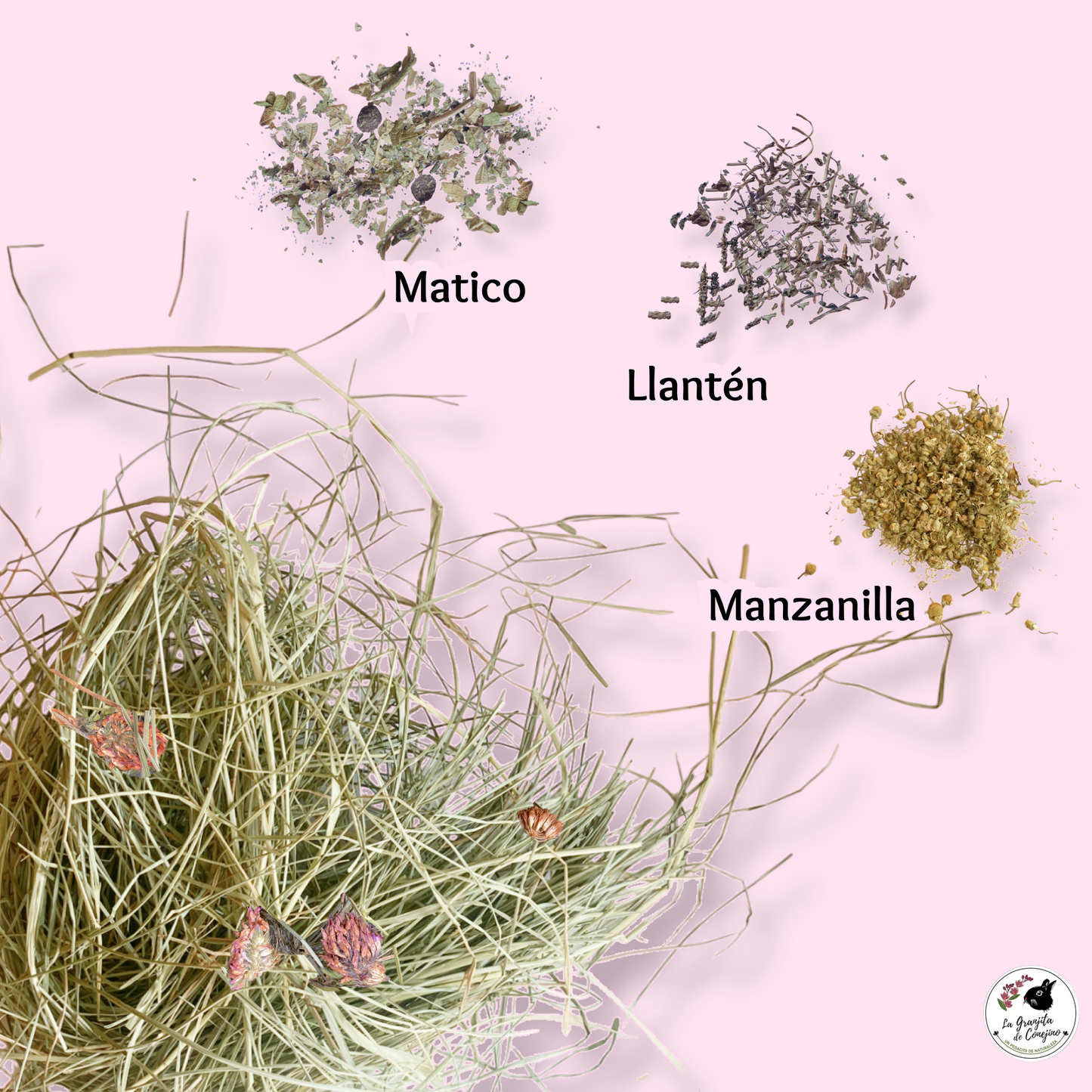 Ballica Trébol Extra Digestiva 1K