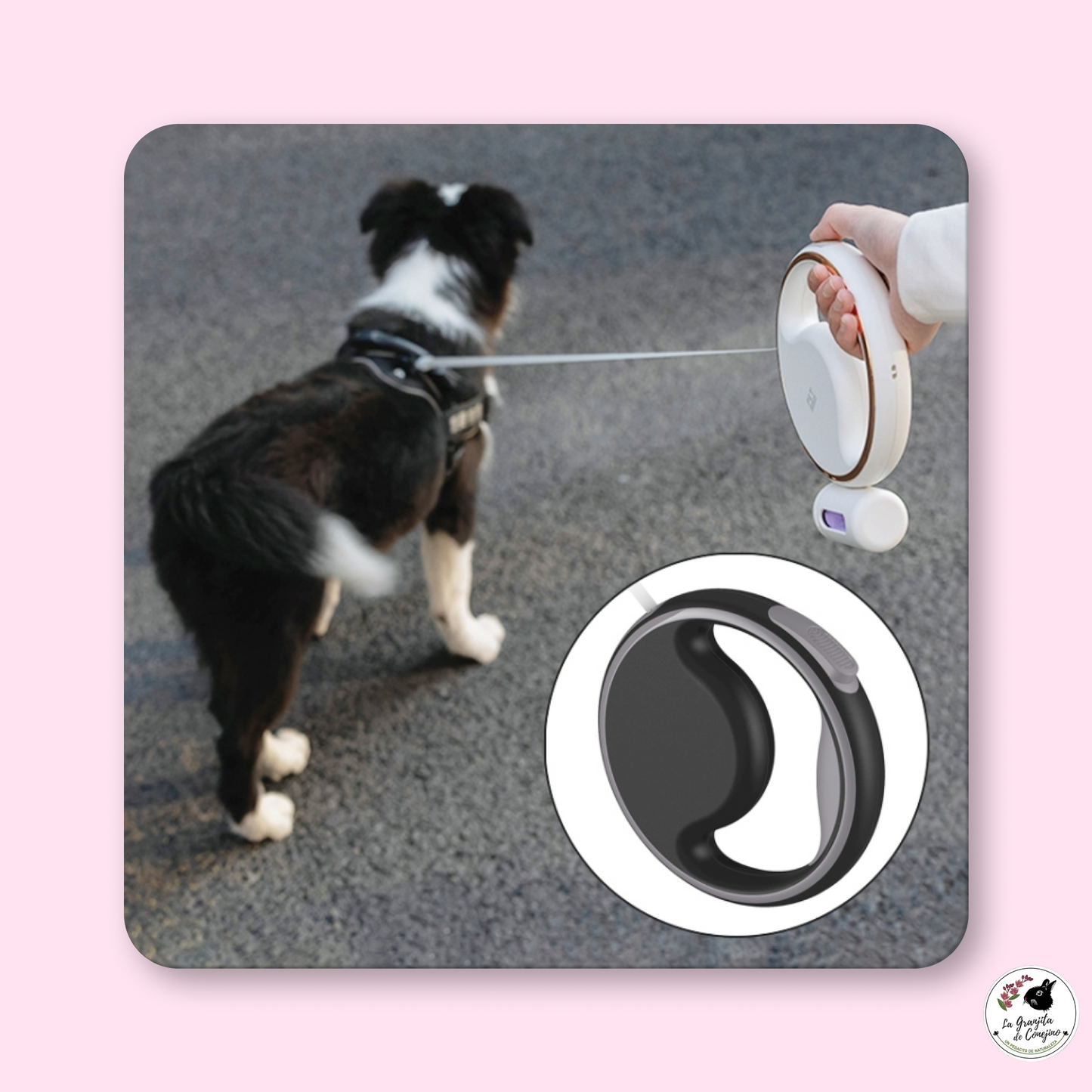 Correa Retractil 3 mts