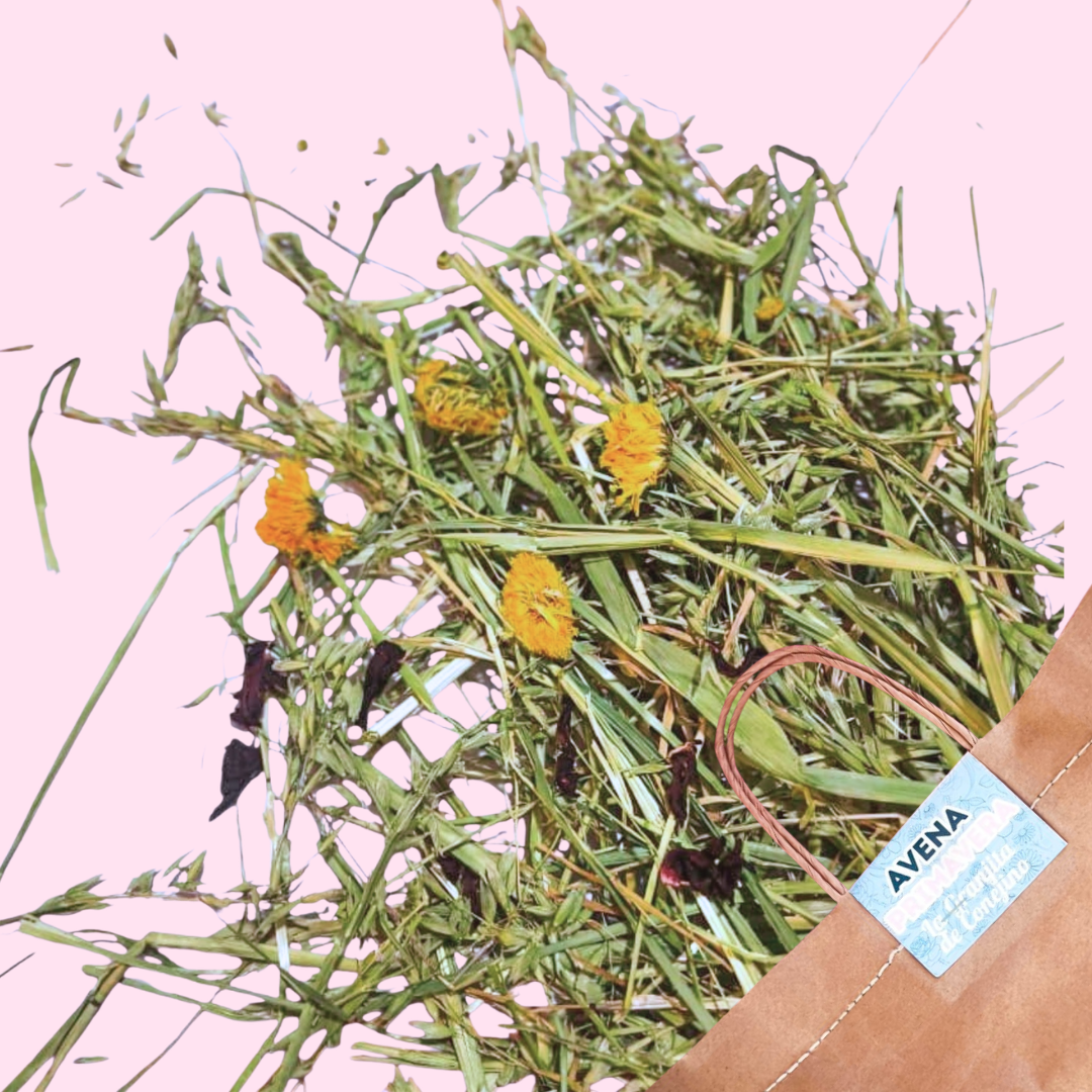 Avena primavera premium