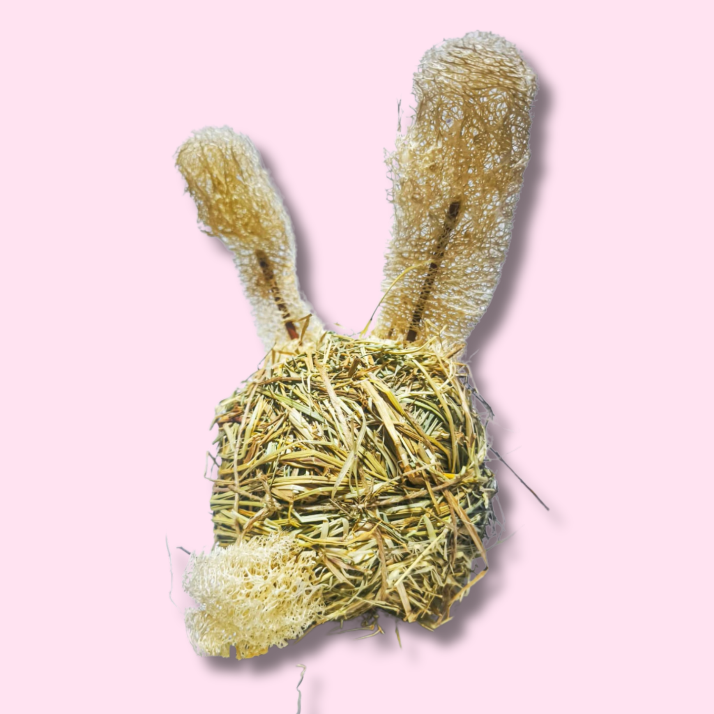 Bunny ball