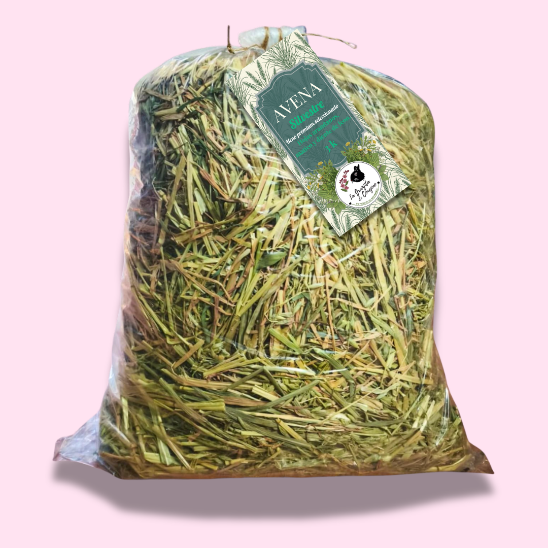 Avena silvestre premium 3 k
