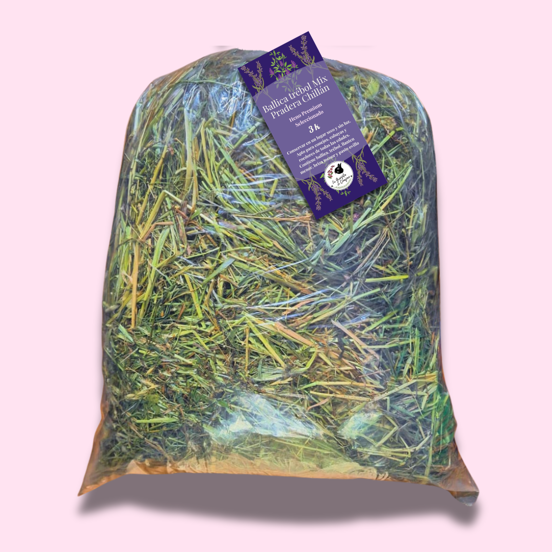 Ballica trébol Mix Pradera Premium - Chillán
