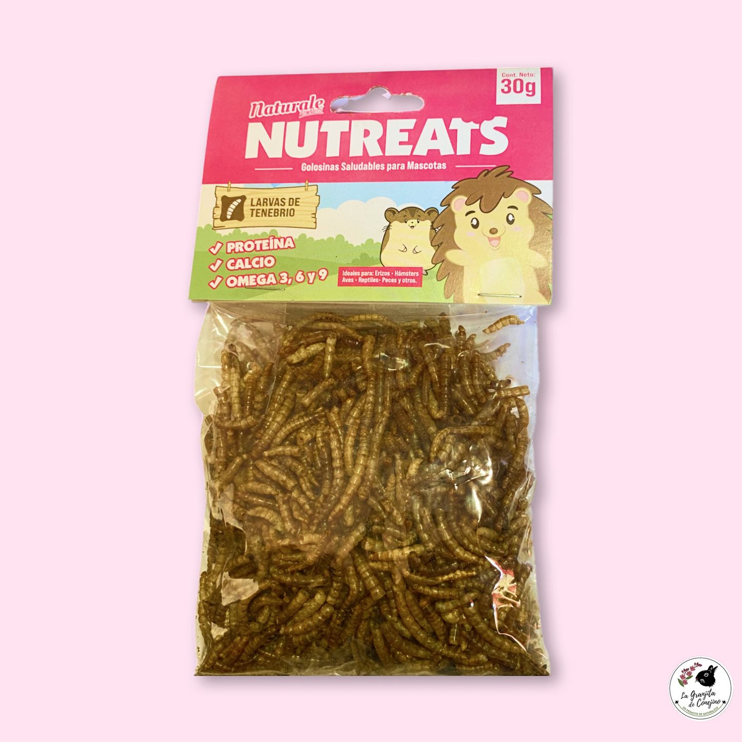 Larvas de Tenebrio Nutreats