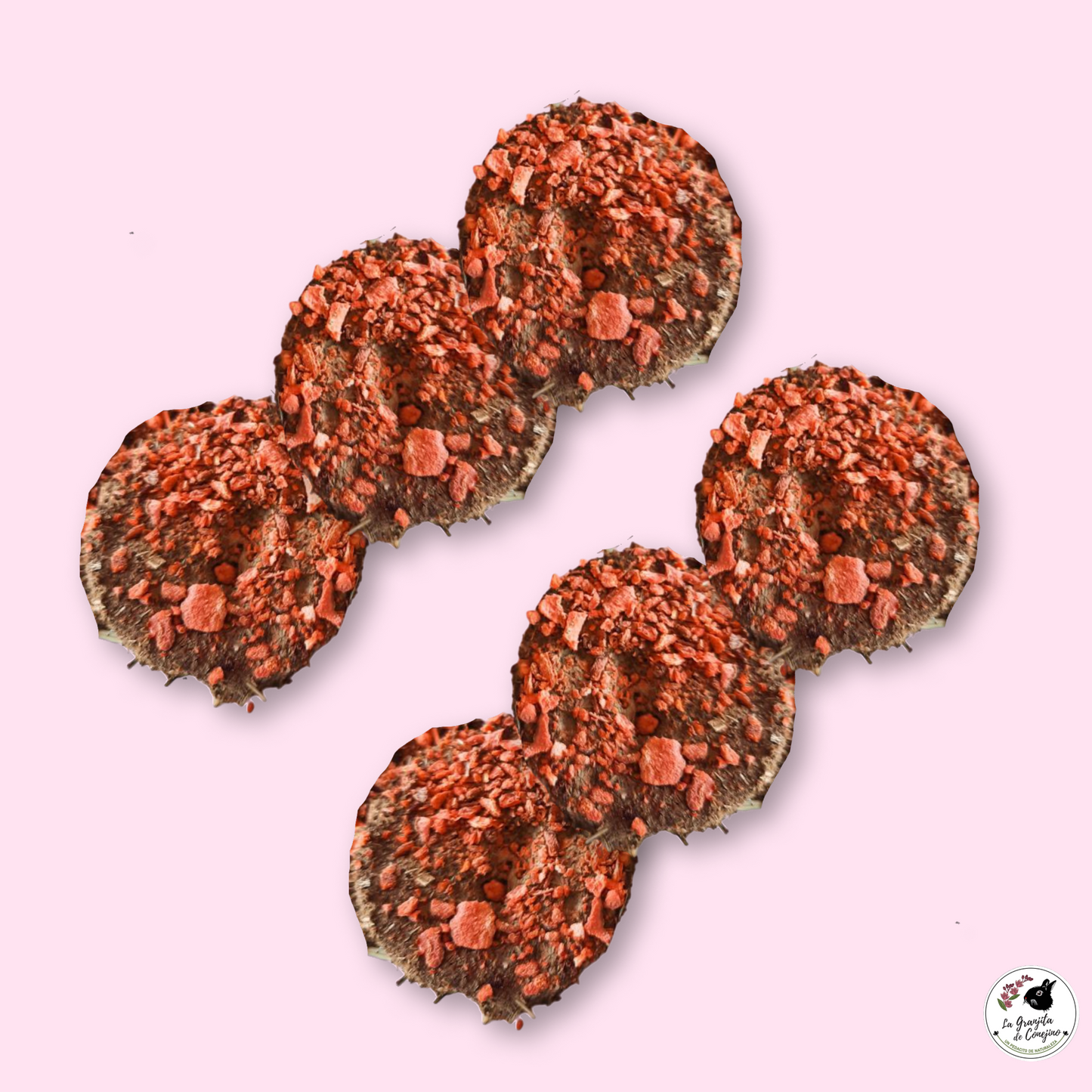 Sabrocitos Zanahoria