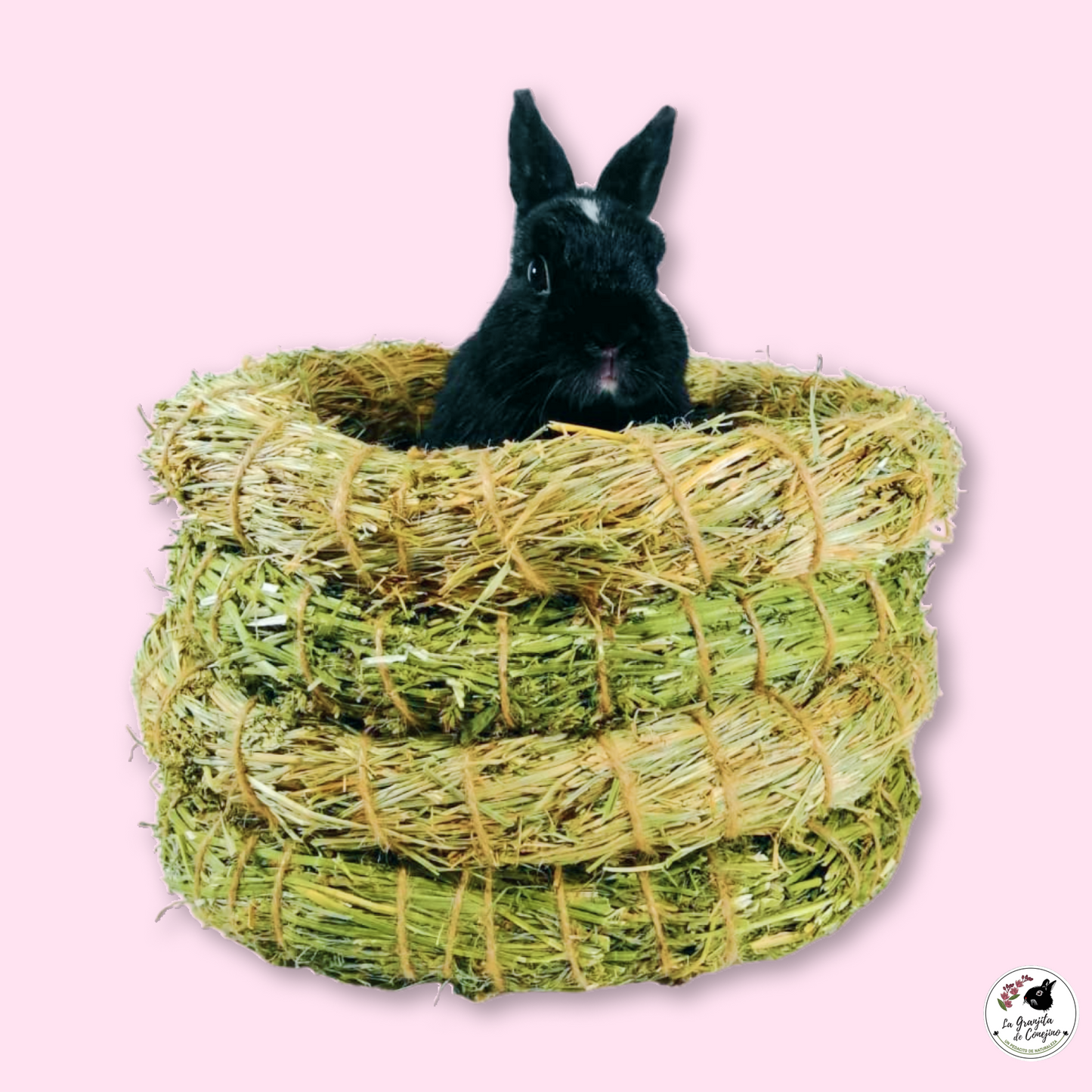 Tunel Alfalfa Ballica