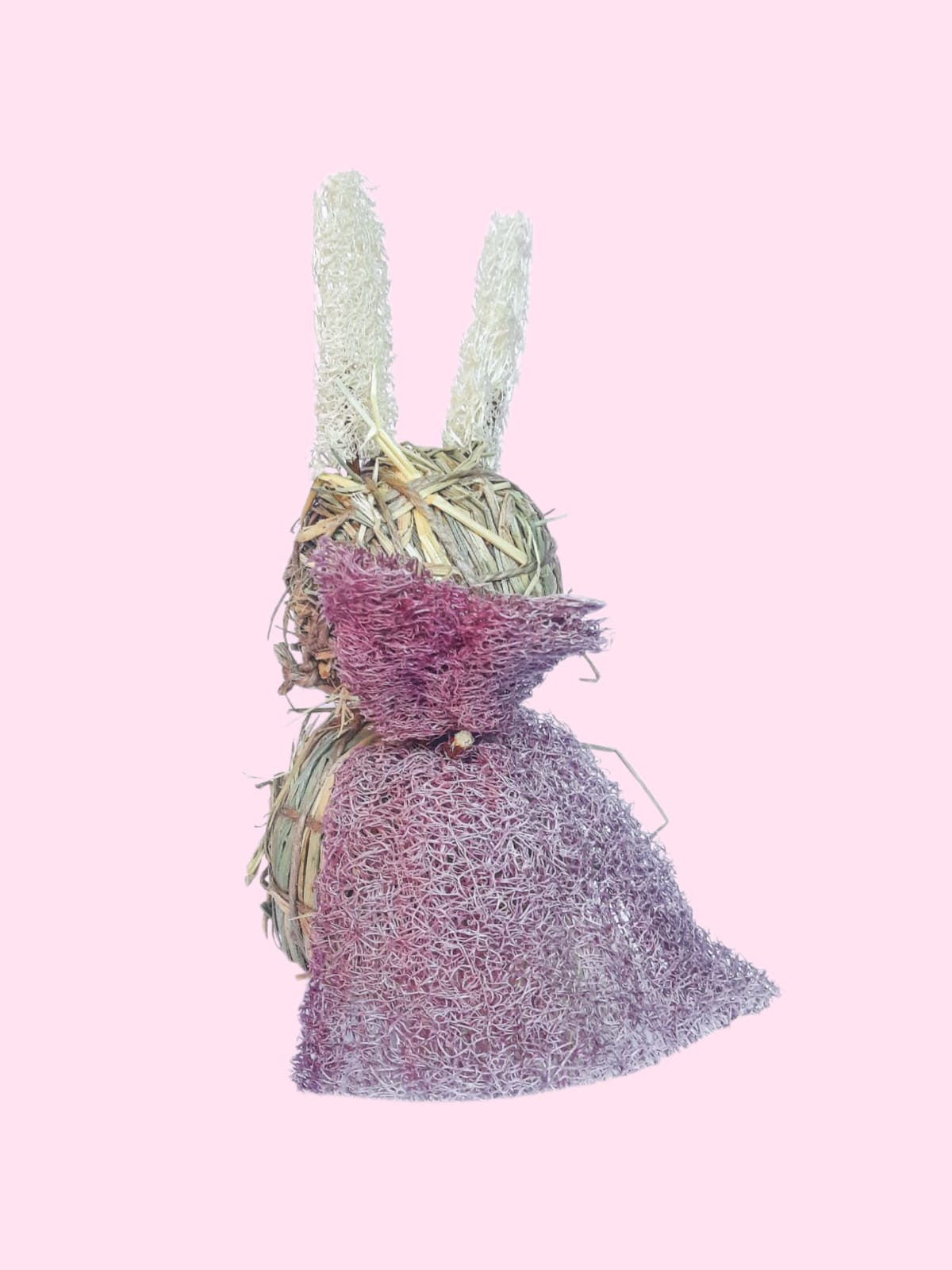 Bunnycula