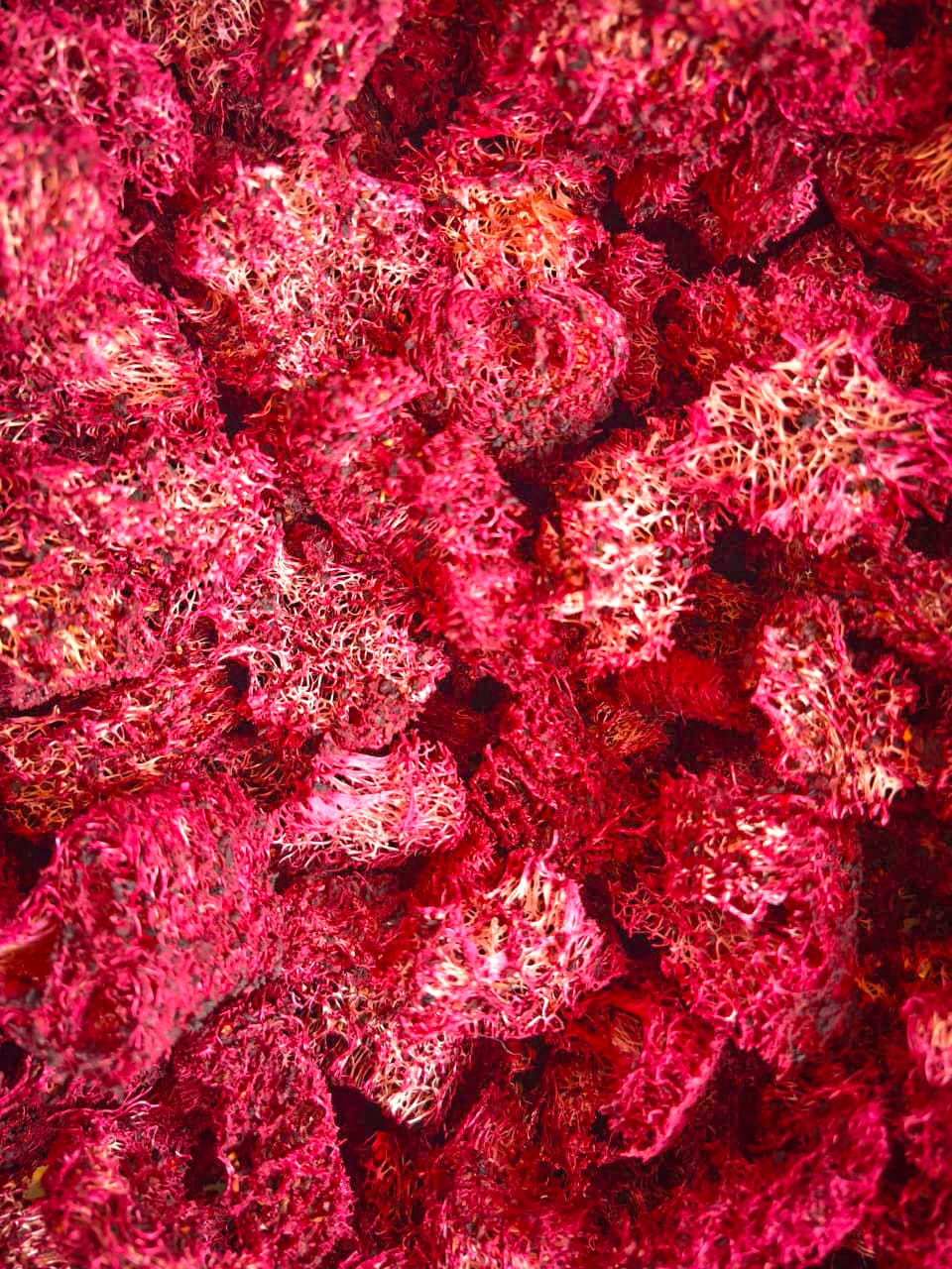 Natural Crispy Platano Hibisco