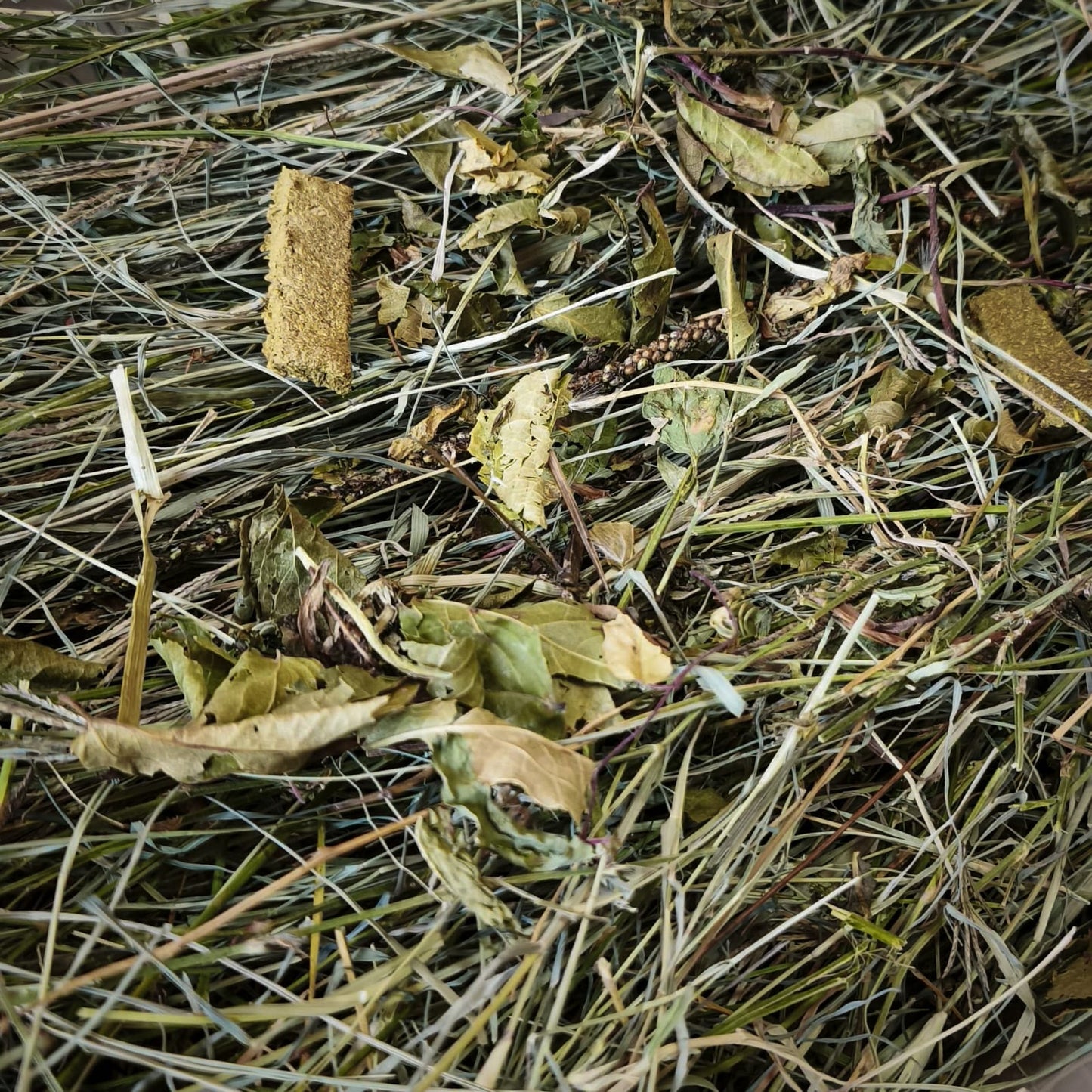 Heno selección botánica gourmet Verano 2026