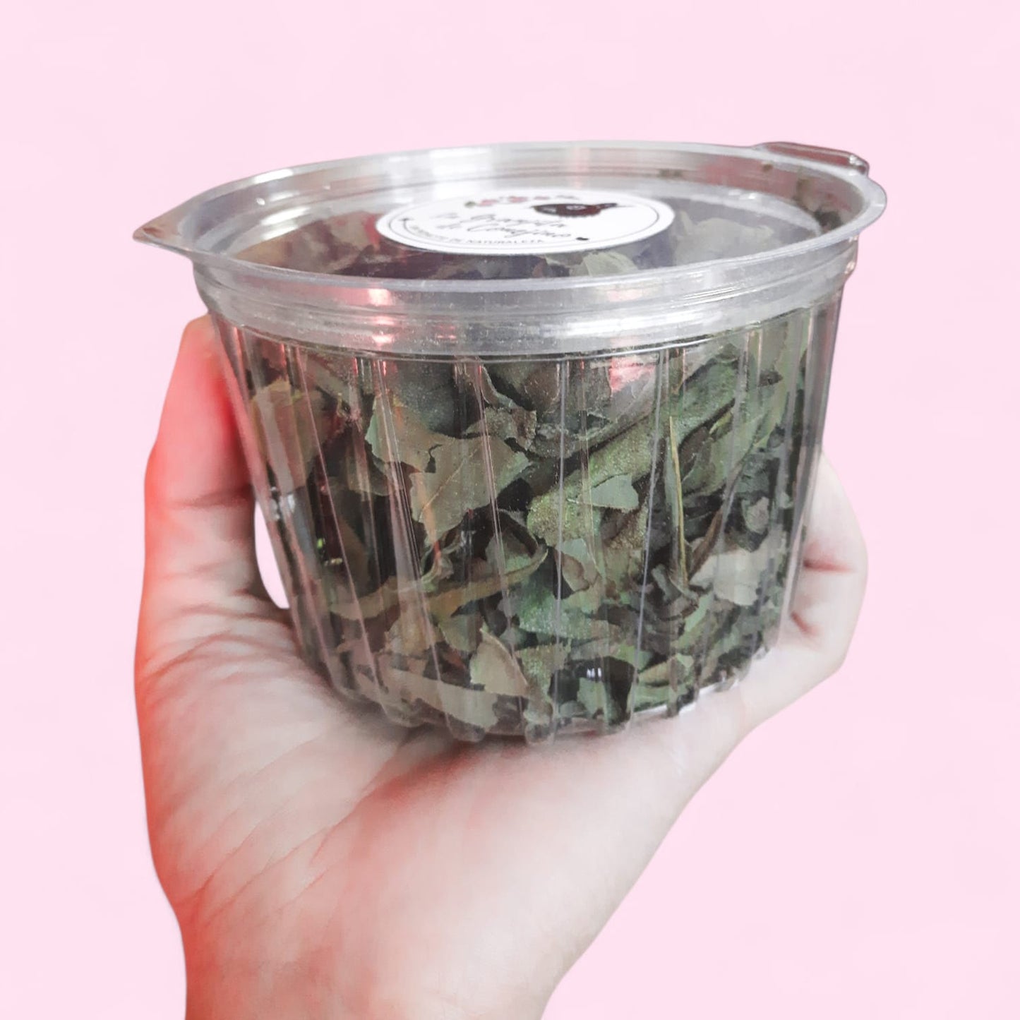 Cup de hojas de topinambur