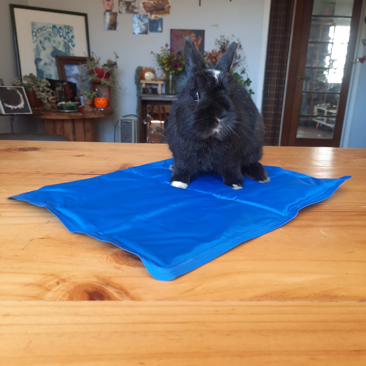 Manta Refrescante - Small