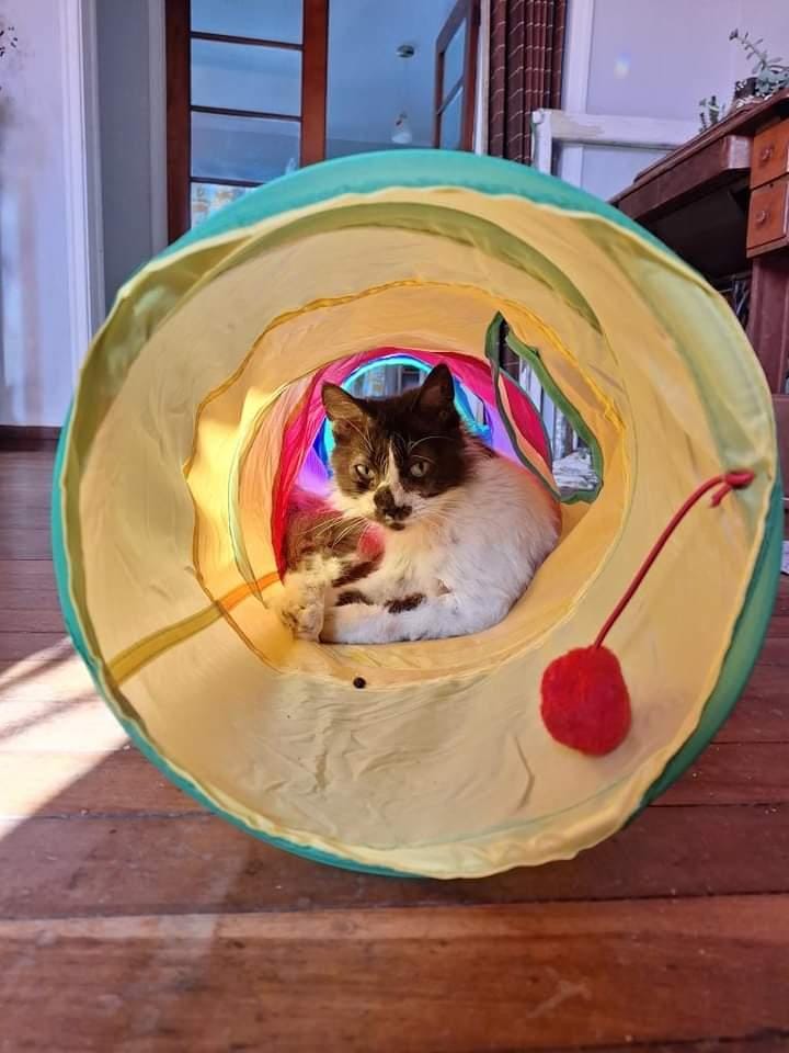 Super Túnel 2 Vías