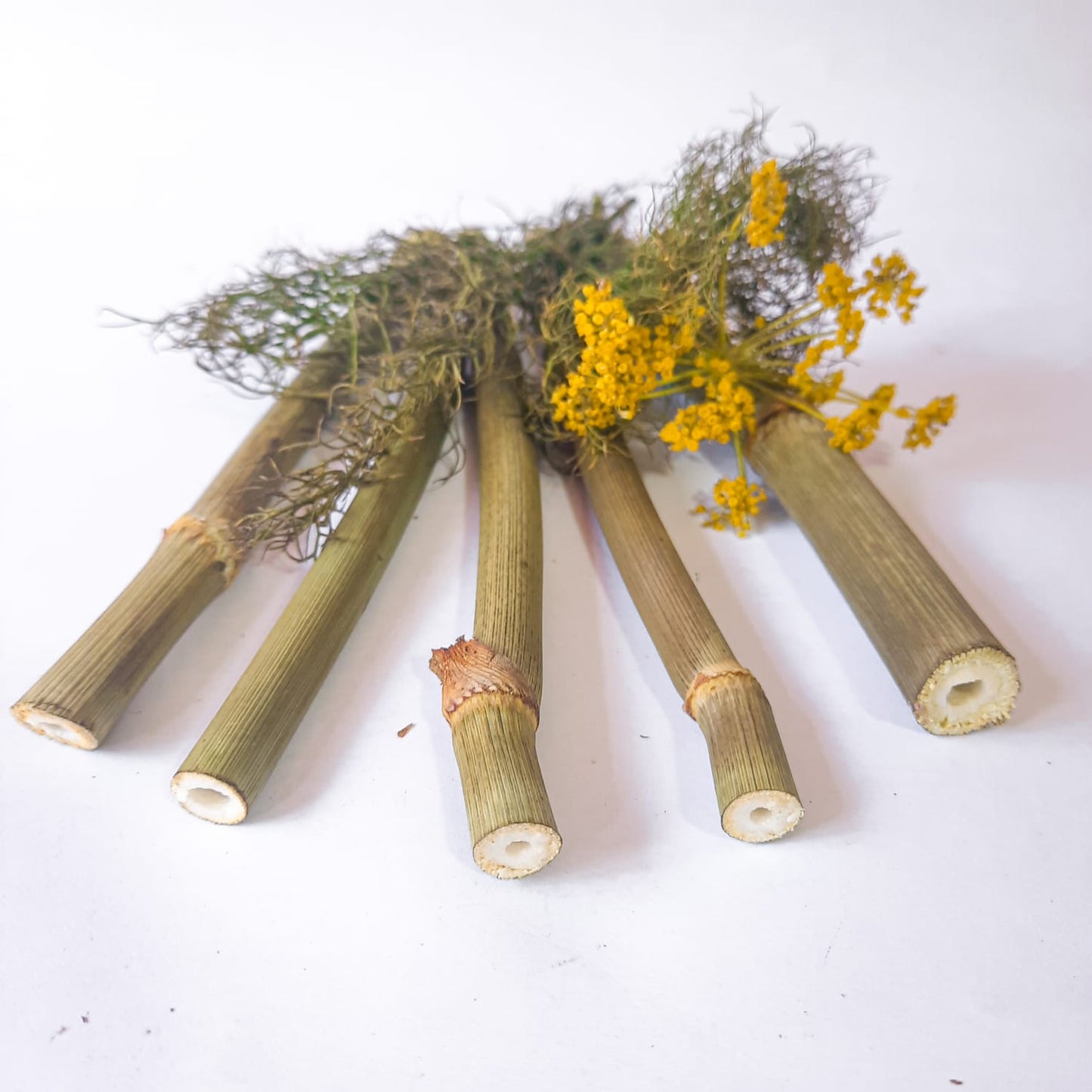Palitos de Hinojo