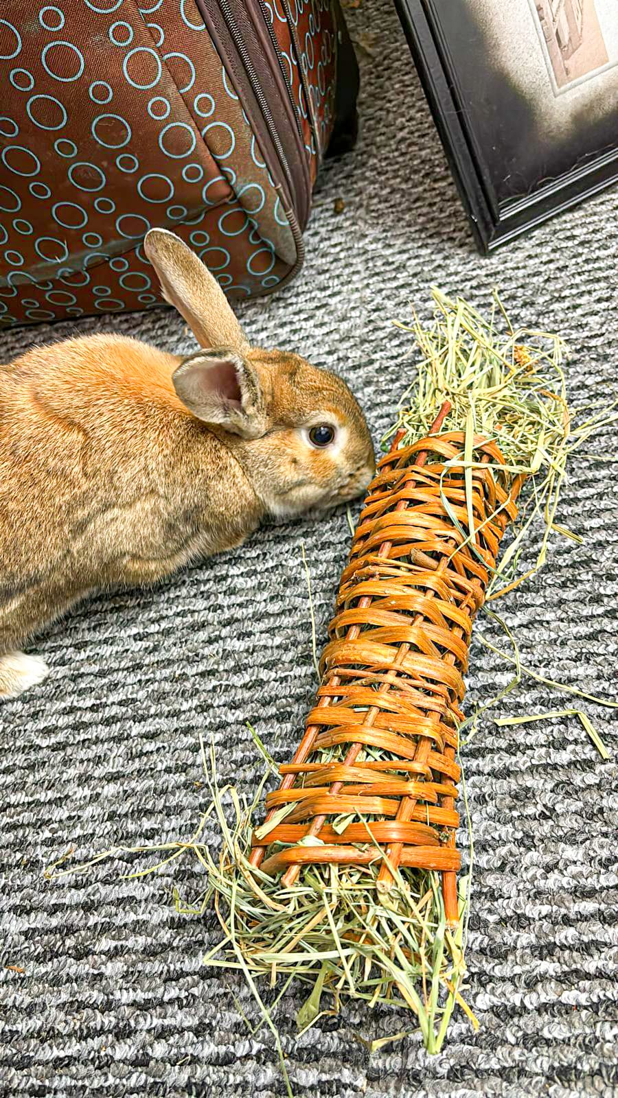 Cuchufli Ballica Rosa