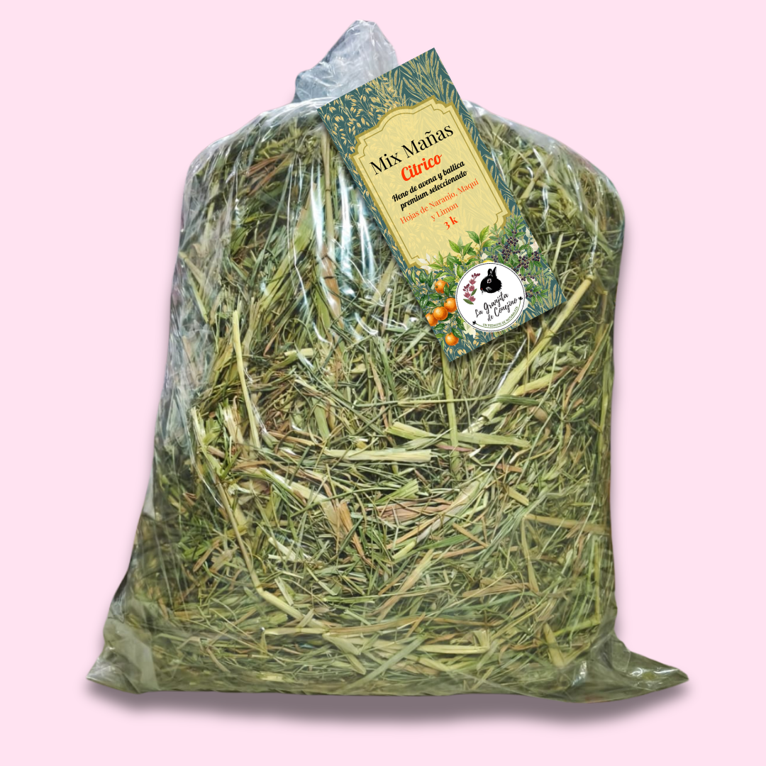 Avena ballica citrico 3