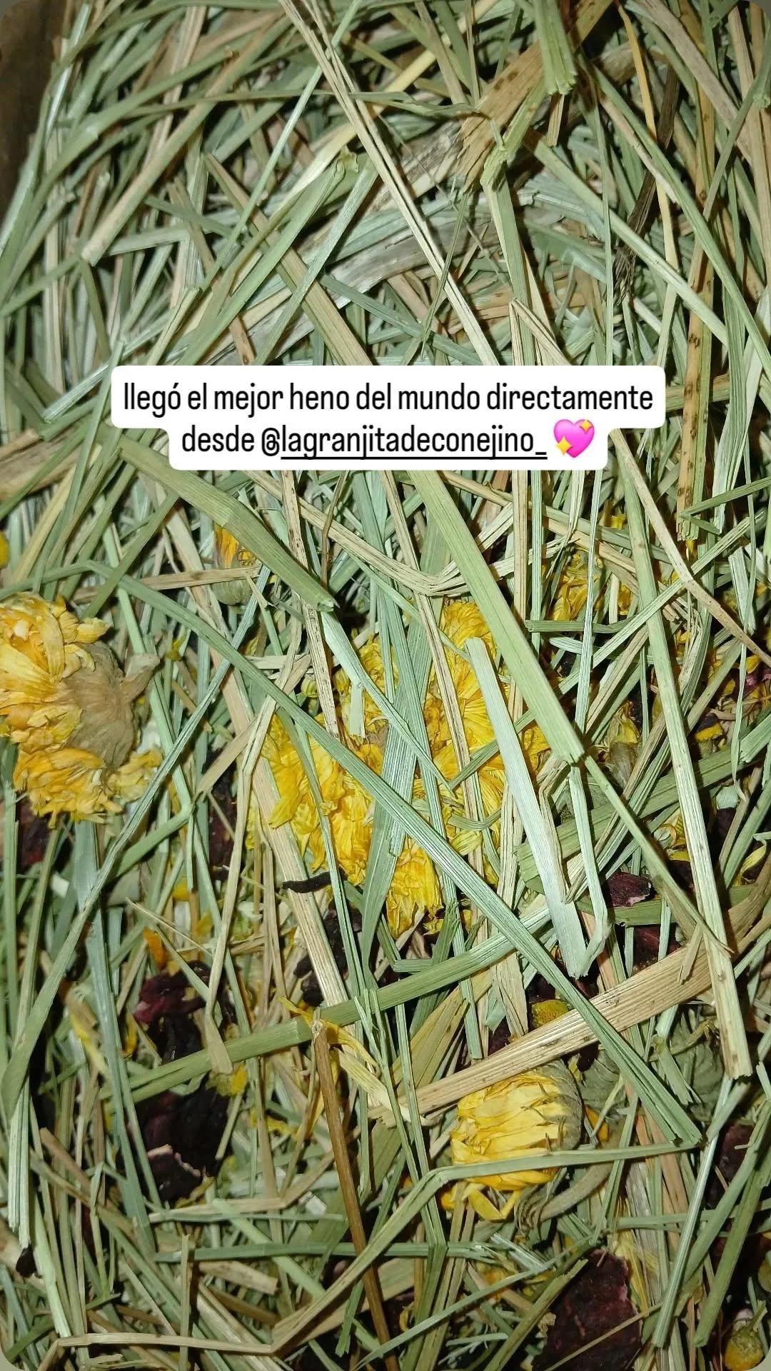 Ballica primavera premium
