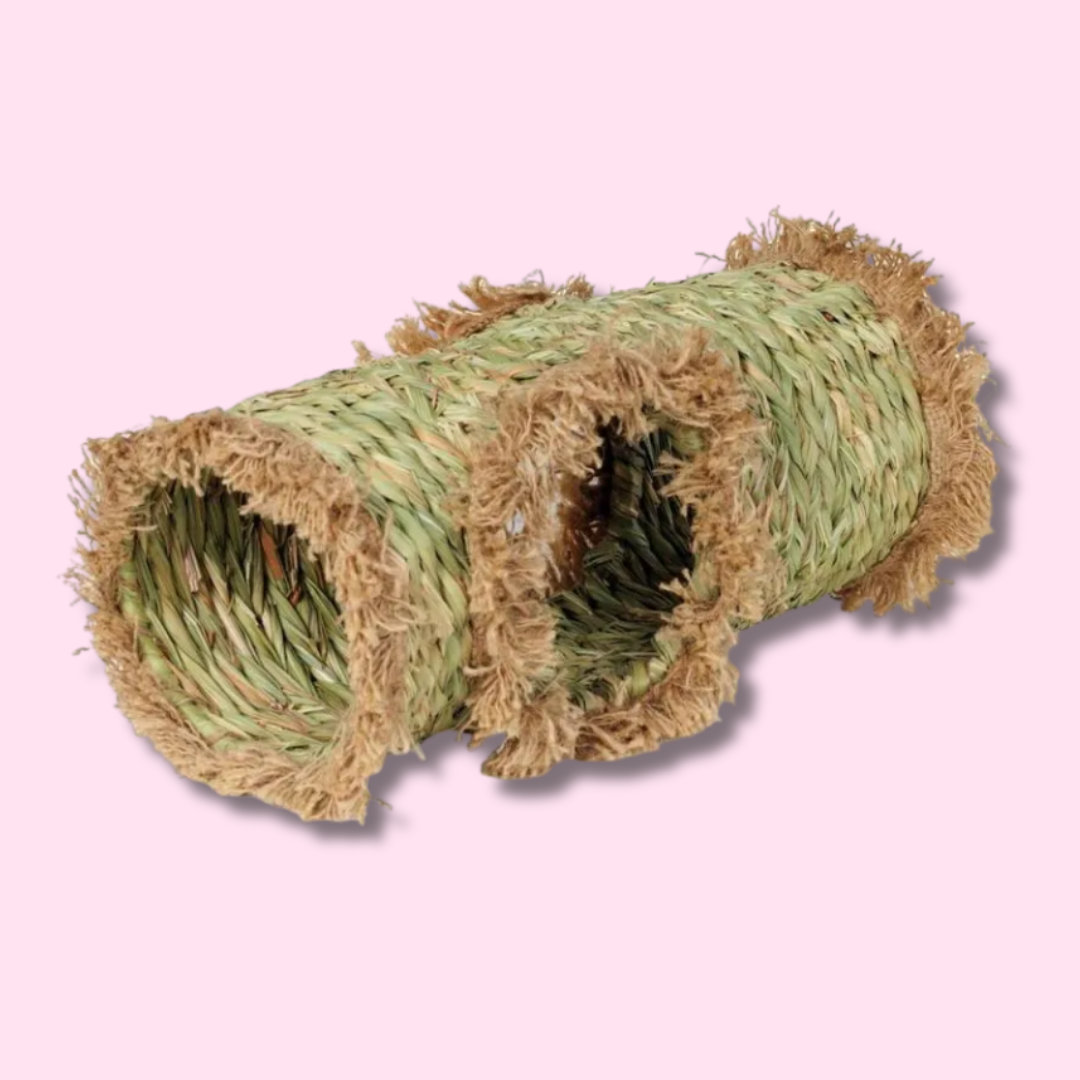 Túnel de pasto para pequeños animales Prevue