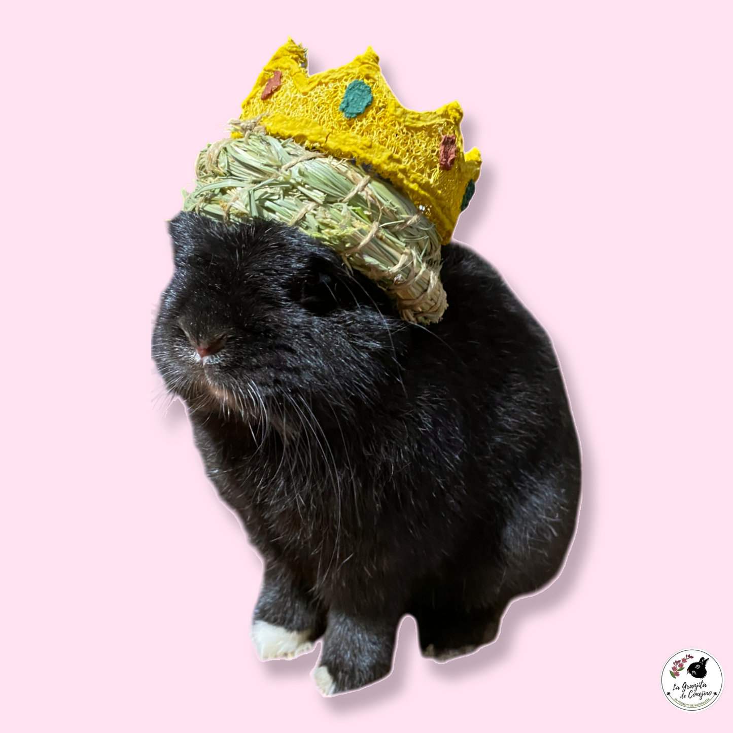 Corona Bunny Majestad