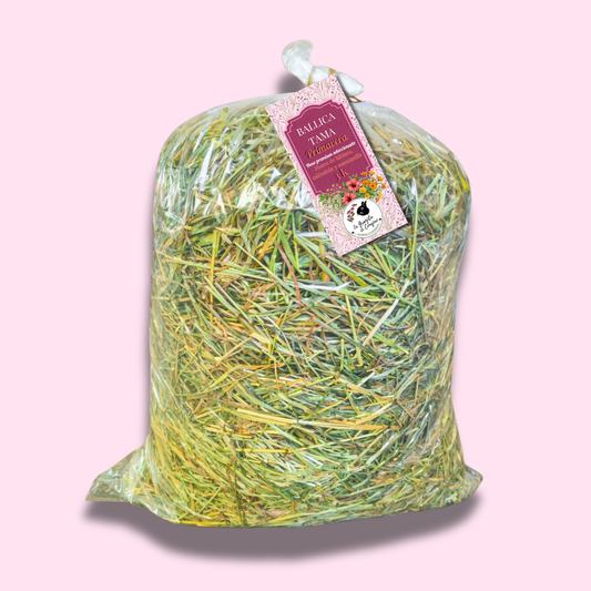 Ballica tama primavera premium 3 k