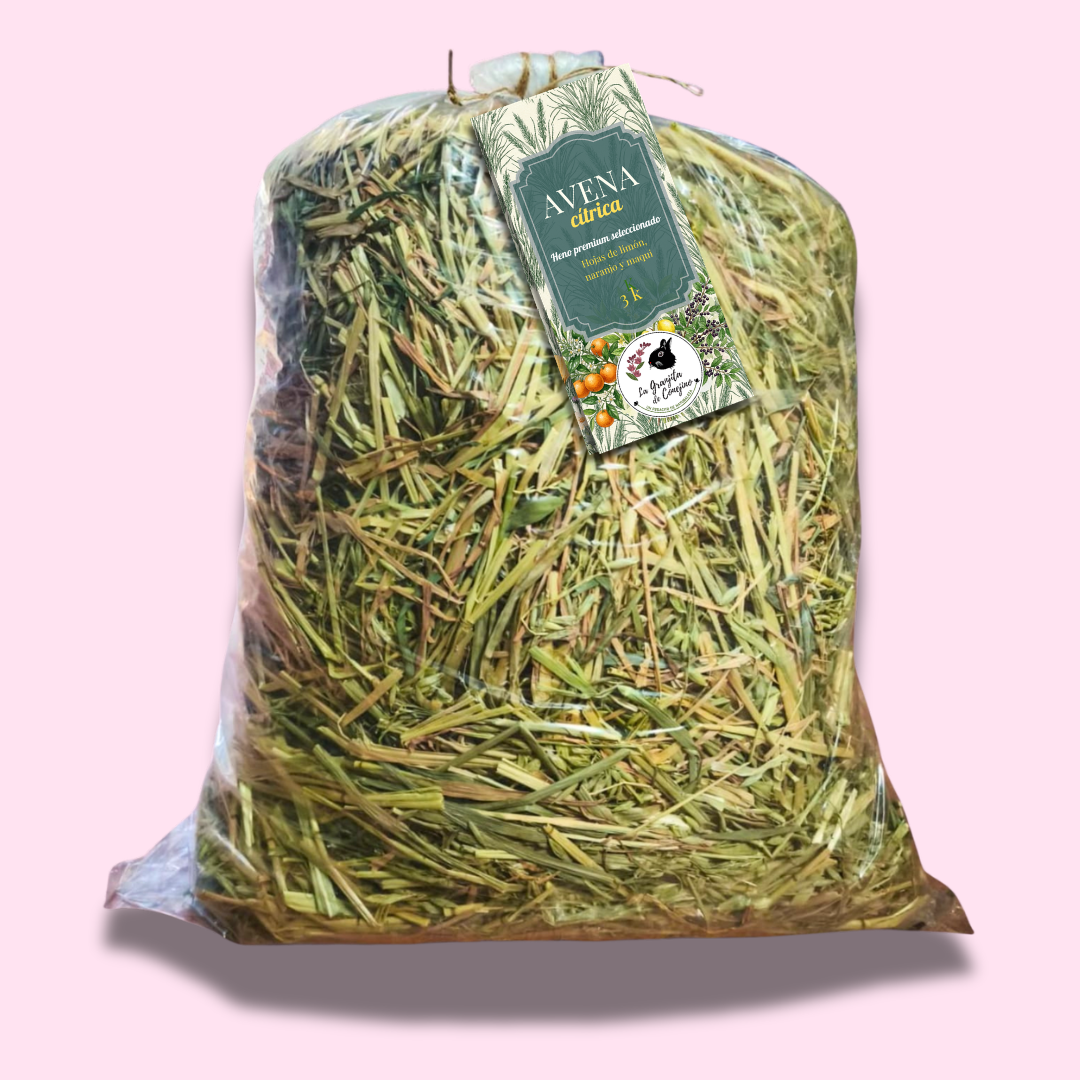 Avena cítrica premium 3 k