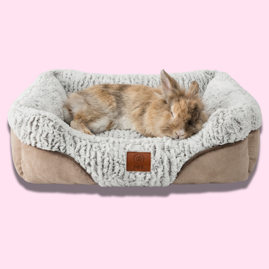 Cama acolchada cafe S