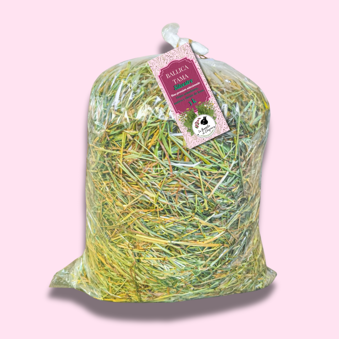 Ballica tama silvestre premium 3 k