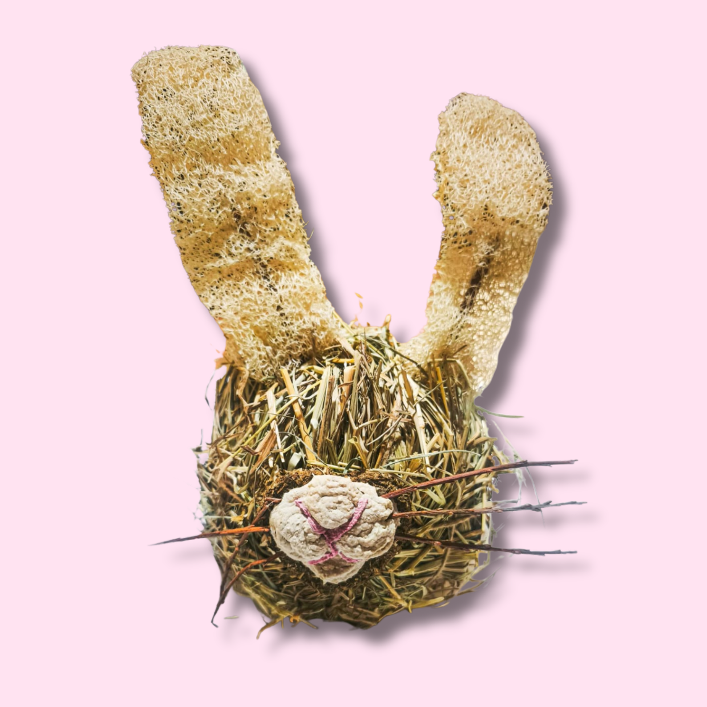 Bunny ball