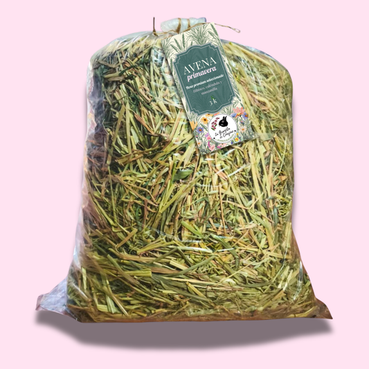 Avena primavera premium 3 k
