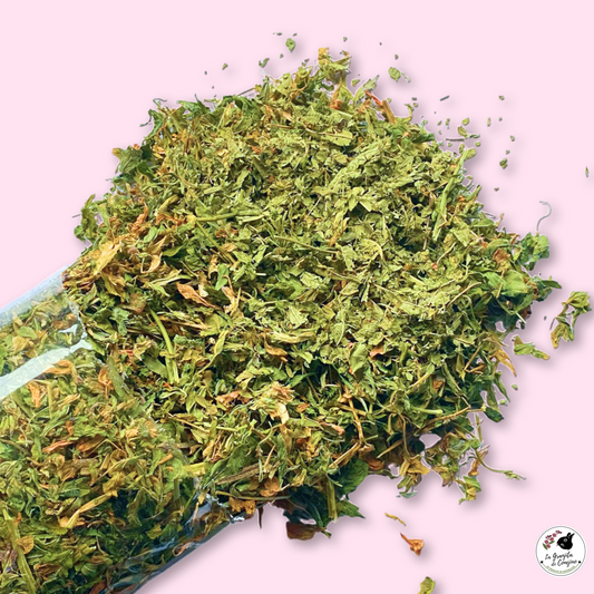 Hojitas Alfalfa Cedrón