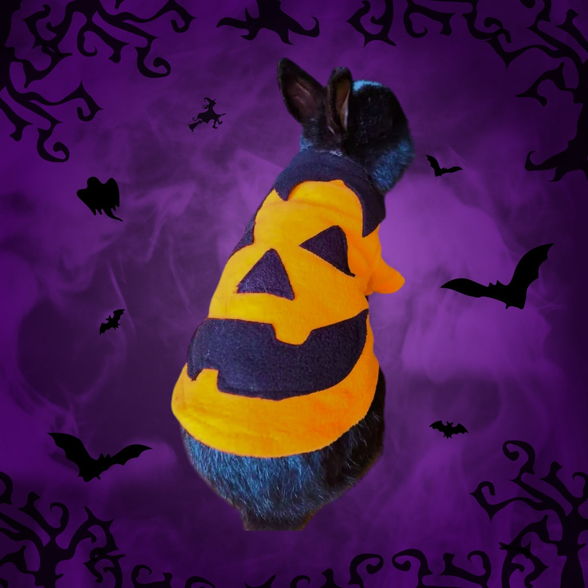 Disfraz calabaza