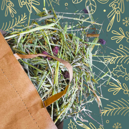 Mini Sensation Christmas Bites