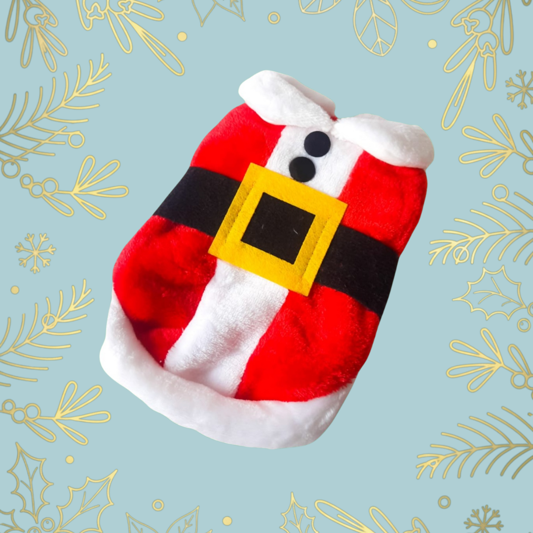 Traje Santa