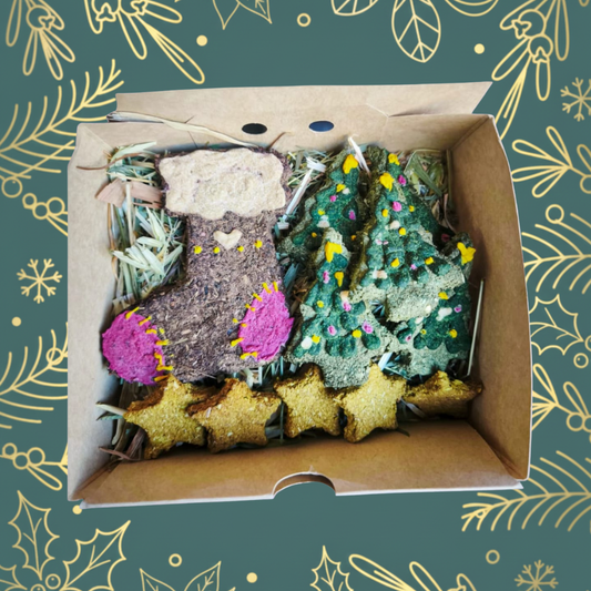 Botita navideña Box