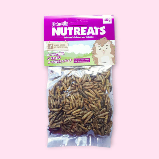 Mix mosca soldado Nutreats
