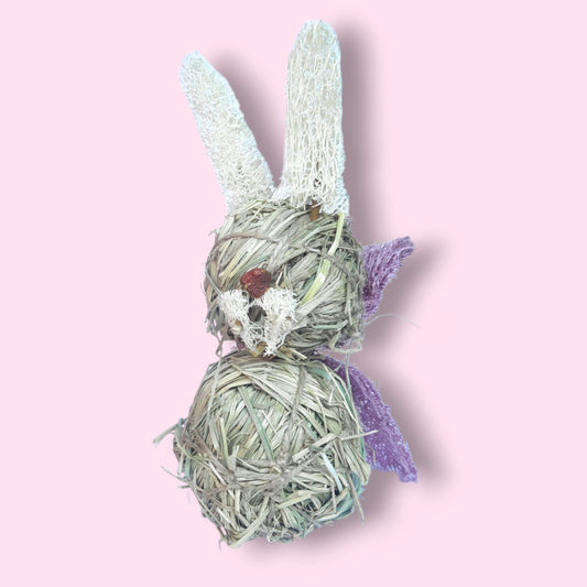 Bunnycula