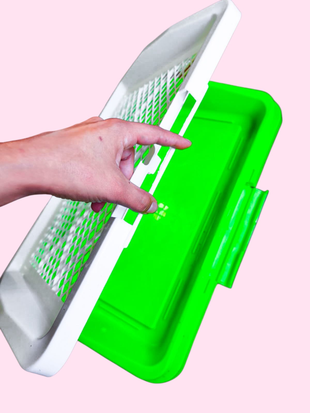 Baño entrenador pasto