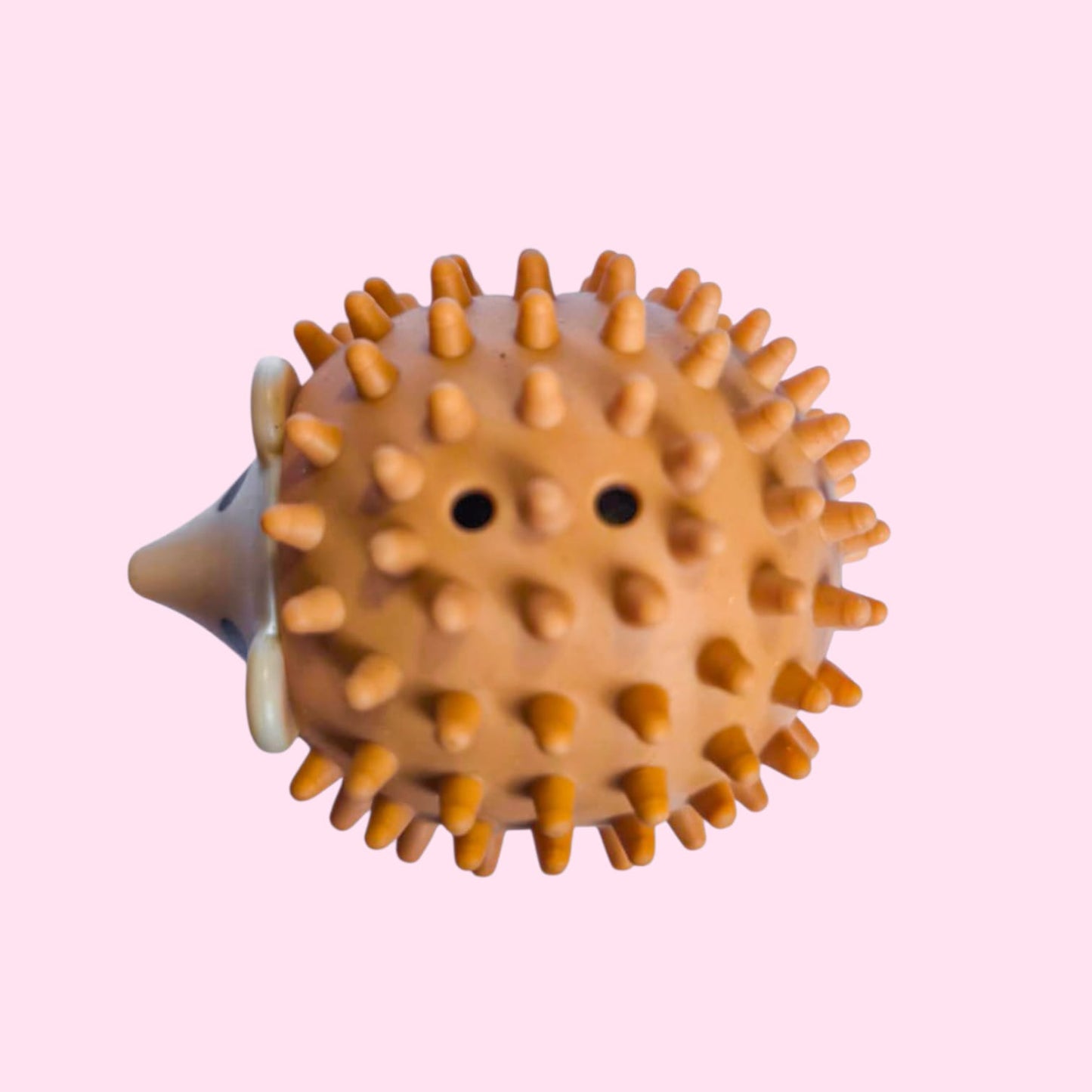 Erizo rascador catnip