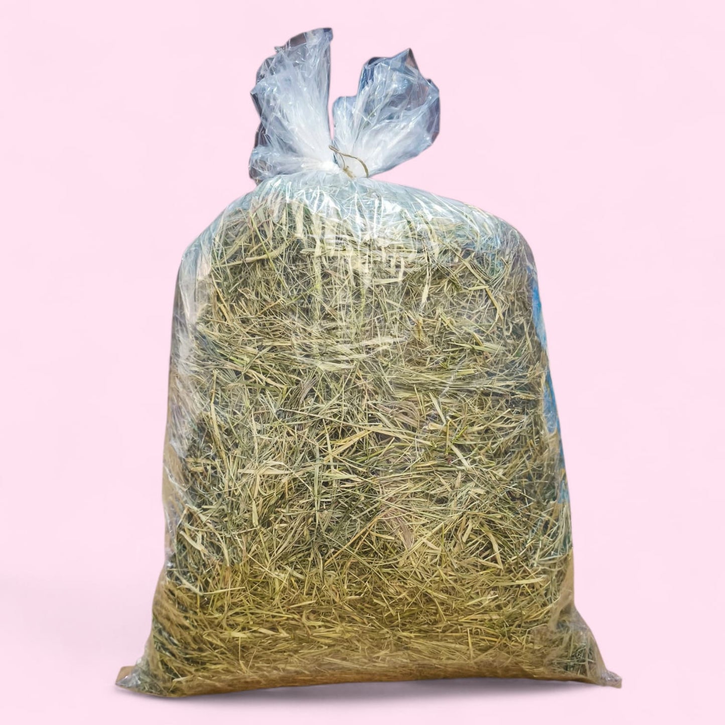 Ballica pradera Premium El Bollenar