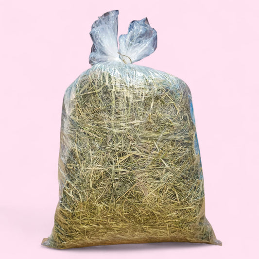 Ballica pradera Premium El Bollenar